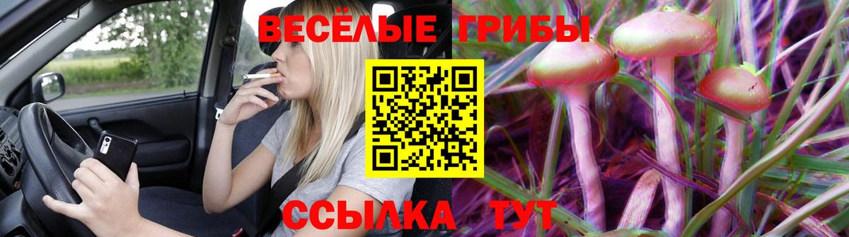 Галлюциногенные грибы Magic Shrooms Печора